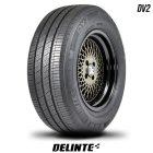 Delinte DV2 Delinte DV2